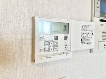 ���̑����� ���g�[�t���œ~���|�J�|�J�B���Ƒ��̌e���̃X�y�[�X�ɂȂ�܂��ˁB