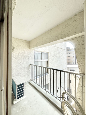 �o���R�j�[ �S�n�悢���������Ȃ��炨���󕨂����������ł�