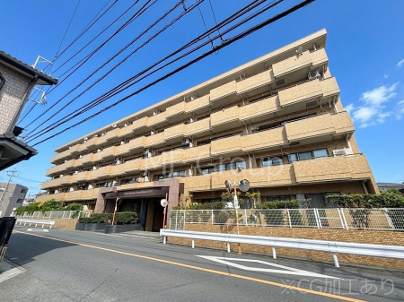 ���n�O�ώʐ^ ��Ƃ肪�Ί�𐶂ސS�n�悢���� 