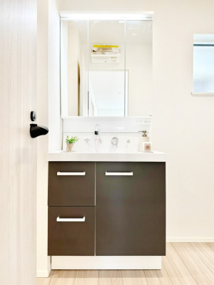 ���ʑ�E���ʏ� �X�^�C�����O�ɕ֗��ȎO�ʋ��A�~���[�L���r�l�b�g�ōׂ������X�b�L��