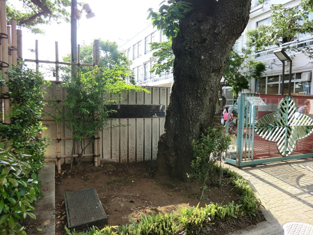 ���ӊ� �c�t���E�ۈ牀 600m ������Z�c�t��