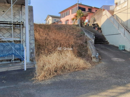 ���n�y�n�ʐ^ -