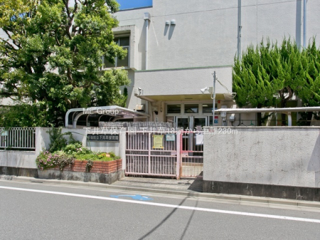 ���ӊ� �c�t���E�ۈ牀 230m ���䑐�ۈ牀