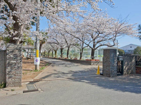  ���w�Z 1600m ��t�s�����钆�w�Z