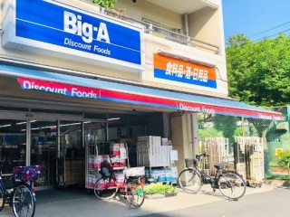 ���ӊ� �X�[�p�[ 800m �r�b�O�E�G�[ �n�c���L�X