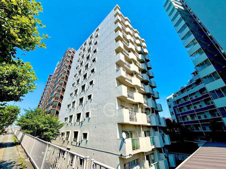 ���n�O�ώʐ^ ����z���ł��Ƒ��̏Ί���P��