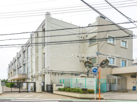 ���ӊ� ���w�Z 320m ���z�s���k�m�䏬�w�Z