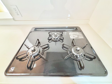 ���̑����� �K�X�R�����͂r���Z���T�[���ځB�Η͒��߂�ł��t���E�����Y����h���ł���܂��B