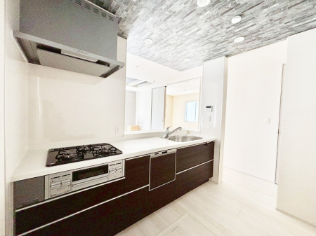 �L�b�`�� �J�E���^�[�z���Ɋy����������ׂ�B�����̂������������Ɣ��������Ȃ肻���ł��ˁB