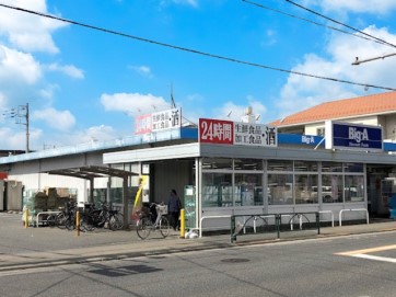 ���ӊ� ���̑����ʐ^ 430m �r�b�O�G�[ �����R�t�X