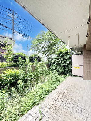 �o���R�j�[ �S�n�悢���������Ȃ��炨���󕨂����������ł��@