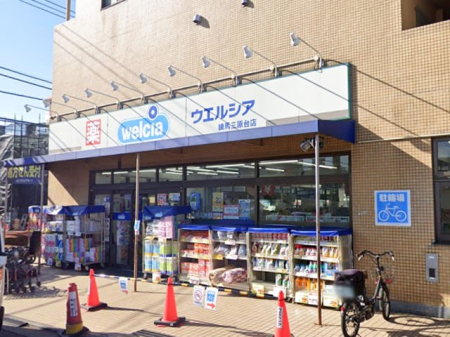 ���ӊ� �h���b�O�X�g�A 500m �E�G���V�A���n�O����X