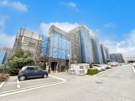 ���n�O�ώʐ^ ����z���ł��Ƒ��̏Ί���P�� 