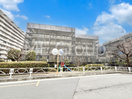 ���n�O�ώʐ^ ��������n�܂�V�����������������܂�