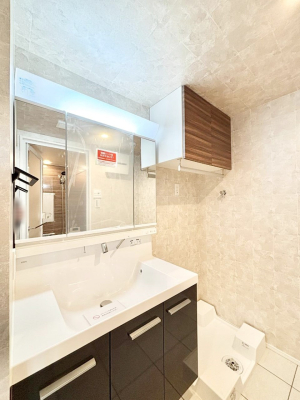 ���ʑ�E���ʏ� �X�^�C�����O�ɕ֗��ȎO�ʋ��A�~���[�L���r�l�b�g�ōׂ������X�b�L��