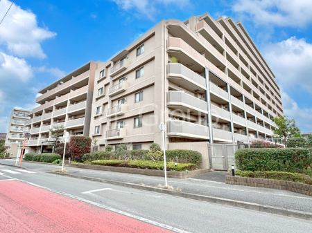 ���n�O�ώʐ^ ����z���ł��Ƒ��̏Ί���P�� 