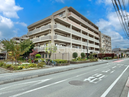 ���n�O�ώʐ^ ��������n�܂�V�����������������܂�  