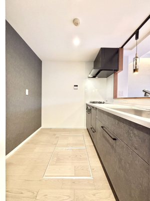 �L�b�`�� ��Ƃ肠��L�b�`���X�y�[�X�ł�������H��̌�Еt�����X���[�Y�ɁI