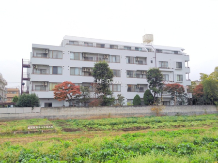 ���n�O�ώʐ^ -