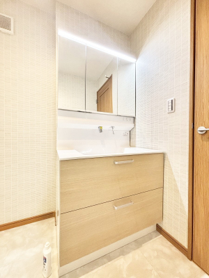 ���ʑ�E���ʏ� ���[�͂Ƌ@�\���ɗD�ꂽ���ʉ��ϑ�