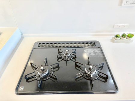 ���̑����� �O���K�X�R�����ł���������C�ɂ͂��ǂ肻���B  