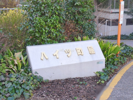 �G���g�����X -