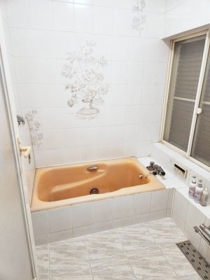 ���� ����̔�����₷��؂ȃo�X�^�C���B�������Ƃ����C���y����Ŕ����Ƃ肽���ł��ˁI  