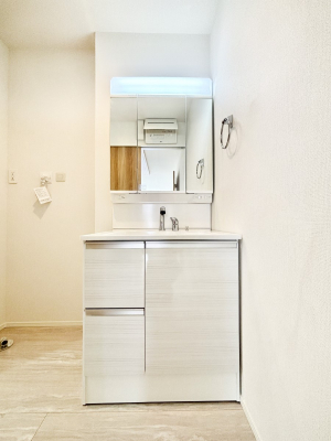 ���ʑ�E���ʏ� ���[�͂Ƌ@�\���ɗD�ꂽ���ʉ��ϑ�