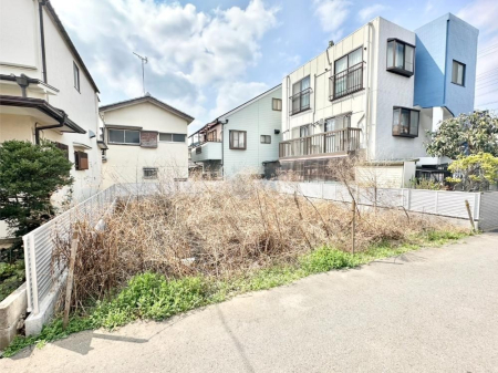 ���n�y�n�ʐ^ �z���ɕ�܂��Ƒ��̓��핗�i��S�䂭�܂�  