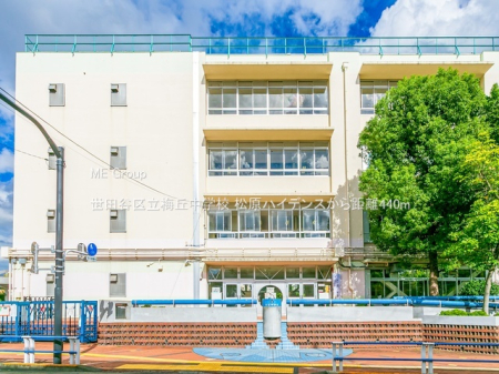 ���ӊ� ���w�Z 440m ���c�J�旧�~�u���w�Z