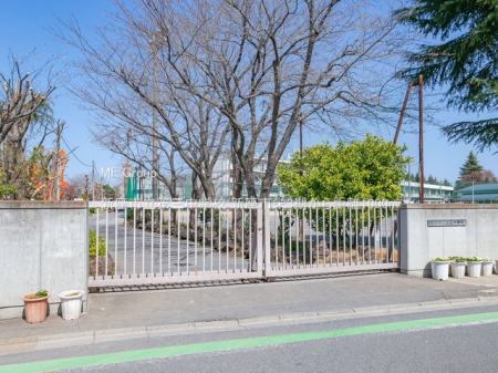 ���ӊ� ���w�Z 1000m �V���s����O���w�Z