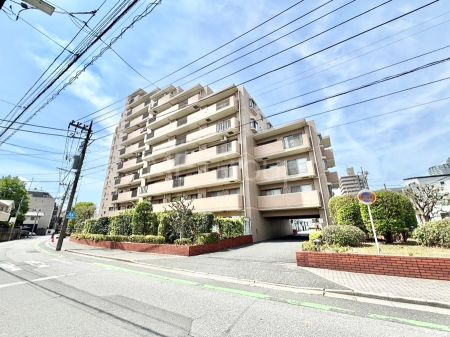 ���n�O�ώʐ^ ����z���ł��Ƒ��̏Ί���P�� 