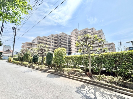 ���n�O�ώʐ^ ��������n�܂�V�����������������܂�