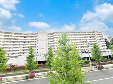 ���̑� �o���R�j�[����̒��]�ł�