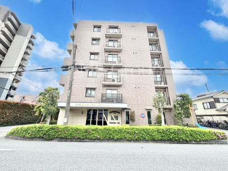 ���ӊ� �w 800m ���l���k��������w