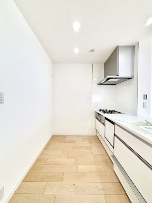 �L�b�`�� ��Ƃ肠��L�b�`���X�y�[�X�ł�������H��̌�Еt�����X���[�Y�ɁI