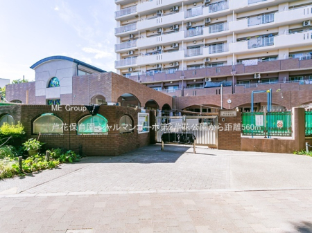 ���ӊ� �c�t���E�ۈ牀 560m ���ԕۈ牀