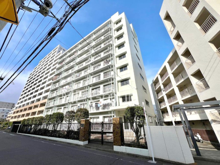 ���n�O�ώʐ^ ��������n�܂�V�����������������܂�