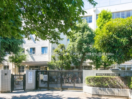 ���ӊ� ���w�Z 480m ���z�s����m�����w�Z