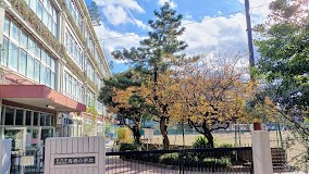 ���ӊ� ���w�Z 700m �����旧�n�����w�Z