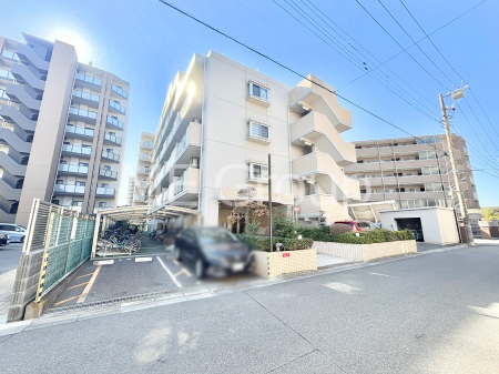 ���n�O�ώʐ^ ��Ƃ肪�Ί�𐶂ސS�n�悢����