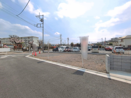 ���n�y�n�ʐ^ -