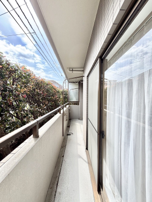 �o���R�j�[ �S�n�悢���������Ȃ��炨���󕨂����������ł�