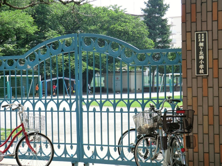 ���ӊ� ���w�Z 550m �k�旧�˃P�u�����w�Z