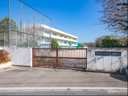 ���ӊ� ���w�Z 1000m �V���s���w�����w�Z