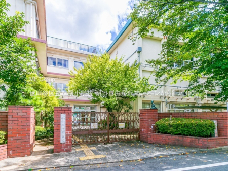 ���ӊ� ���w�Z 490m ���c�J�旧�������w�Z