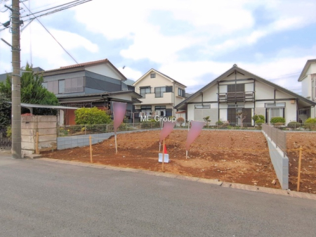 ���n�y�n�ʐ^ -