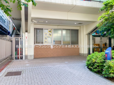 ���ӊ� �c�t���E�ۈ牀 50m �L�n�c�t��