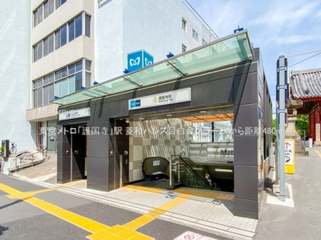 ���ӊ� �w 480m �������g���u�썑���v�w