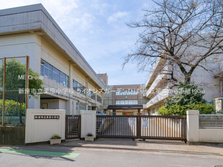 ���ӊ� ���w�Z 190m �V���s���I�����w�Z